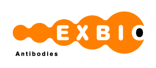 Logo: Exbio