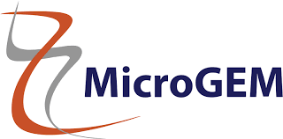 Logo: MicroGEM