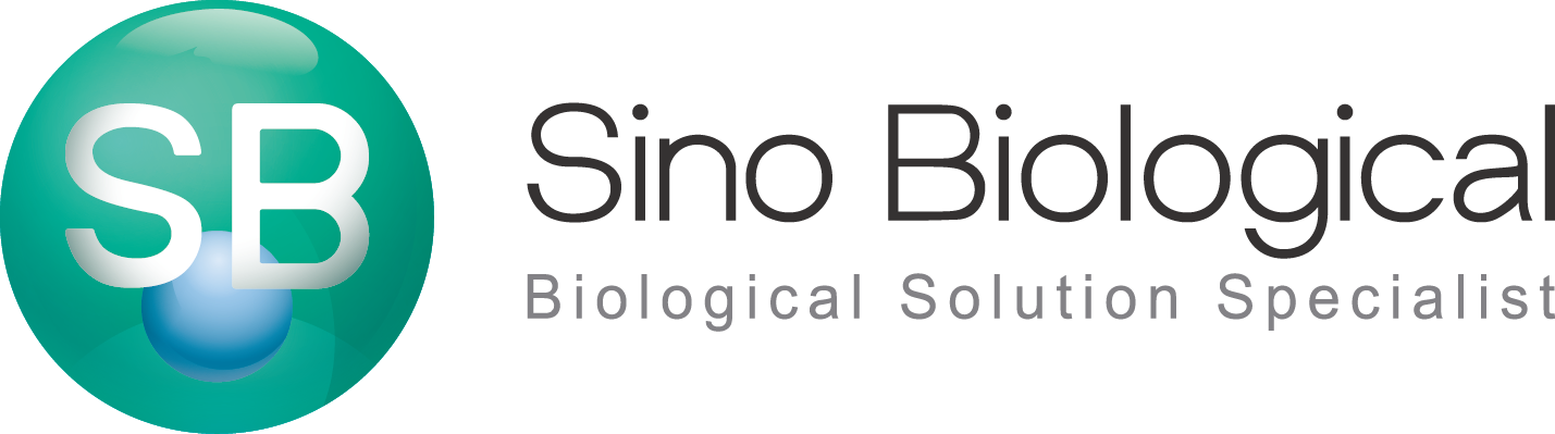 Logo: Sino Biological
