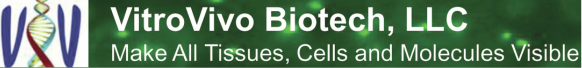 Logo: VitroVivo Biotech